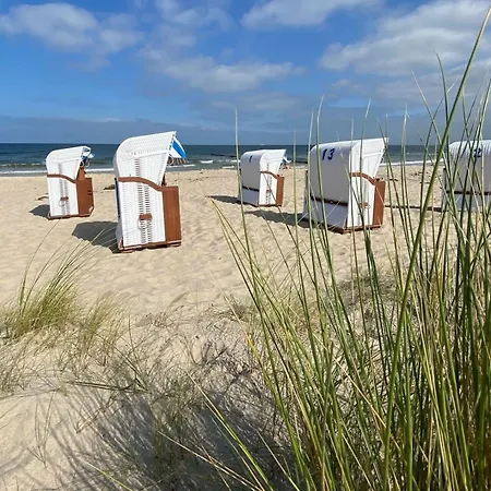Strandlaeufer